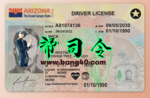 亚利桑那州驾驶执照 Psd 模板（新版）（2025 年）Arizona Driving License Psd Template New (2025)-帮司令