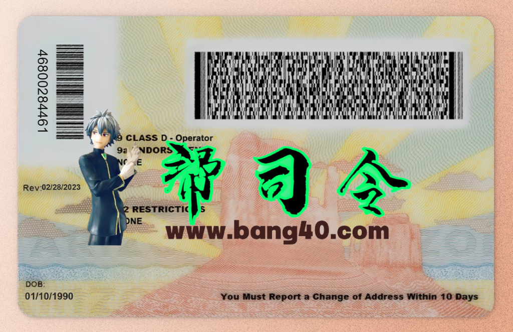 图片[2]-亚利桑那州驾驶执照 Psd 模板（新版）（2025 年）