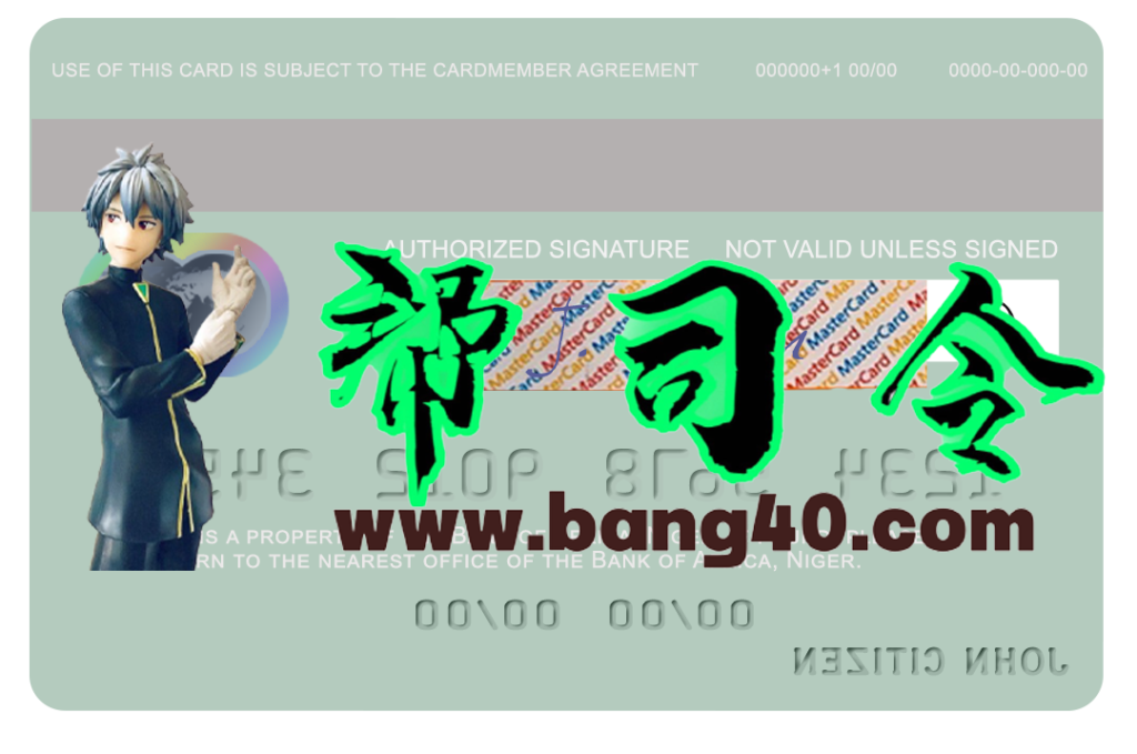 图片[2]-尼日尔非洲银行万事达卡 PSD 模板