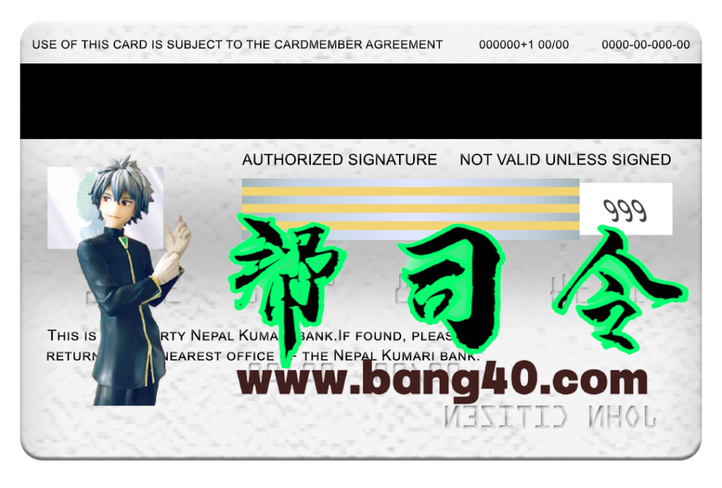 图片[2]-尼泊尔库玛丽银行 Visa 电子卡 PSD 模板