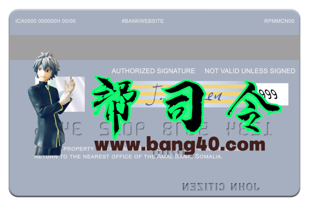 图片[2]-索马里 Amal 银行 Visa 借记卡 PSD 模板