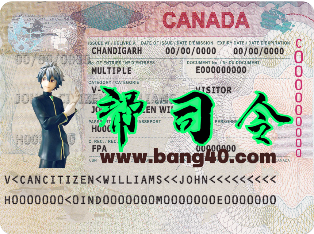 加拿大旅游签证 PSD 模板