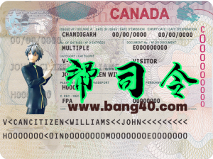 加拿大旅游签证 PSD 模板Canada Travel Visa PSD Template-帮司令