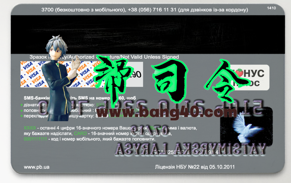 图片[2]-乌克兰私有银行维萨金卡PS/PSD模板
