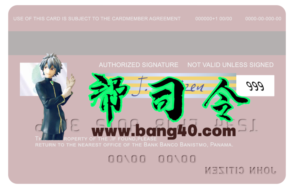 图片[2]-巴拿马银行 Banistmo Visa 借记卡模板