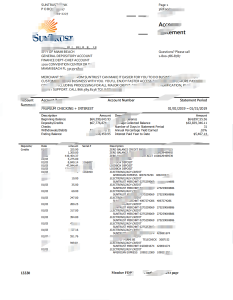 美国 SunTrust 银行对账单 Word 和 PDF 模板USA SunTrust Bank Statement Word And PDF Template-帮司令