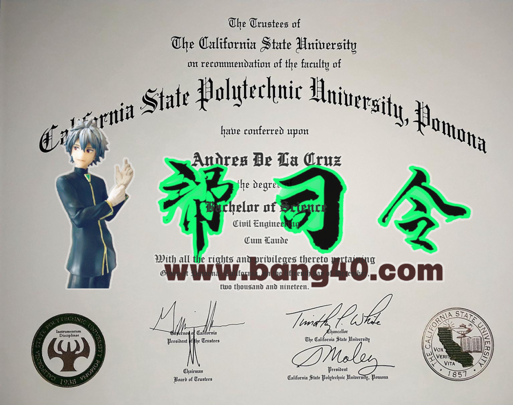 加州州立理工大学波莫纳分校证书 PSD 模板