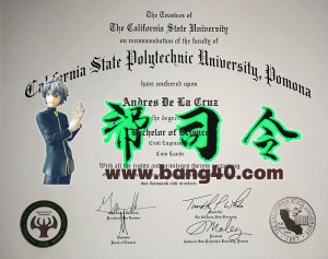 加州州立理工大学波莫纳分校证书 PSD 模板California State Polytechnic University Pomona Certificate PSD Template-帮司令