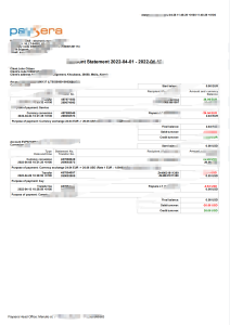 立陶宛 Paysera 账户报表 Word 和 PDF 模板Lithuania Paysera Account Statement Word And PDF Template-帮司令