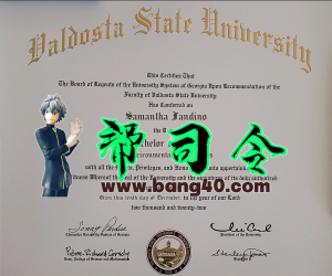 瓦尔多斯塔州立大学证书 PSD 模板Valdosta State University Certificate PSD Template-帮司令