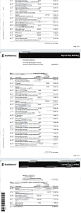 加拿大丰业银行电子账单模板（Word 和 PDF 格式）Scotiabank eStatement Template (Word and PDF)-帮司令