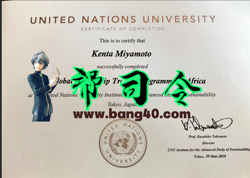 联合国大学证书 PSD 模板