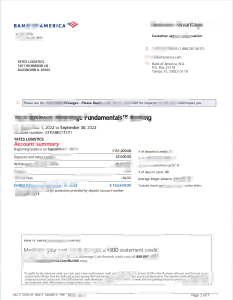 美国银行企业账单(V2)Bank of America Corporate Statement (V2)-帮司令