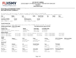 美国佛罗里达州驾驶记录模板Florida USA Driver Record Template-帮司令
