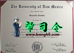 新墨西哥大学证书 PSD 模板UNM University Certificate PSD Template-帮司令
