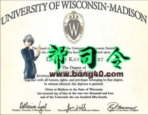 威斯康星麦迪逊大学 PSD 模板Wisconsin Madison University PSD Template-帮司令