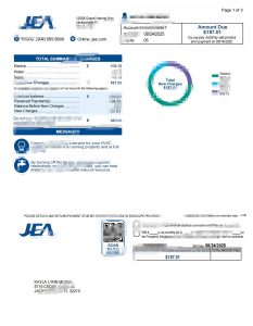 美国 JEA 公用事业账单模板（Word 和 PDF 格式）United States JEA Utility Bill Template in Word and PDF format-帮司令