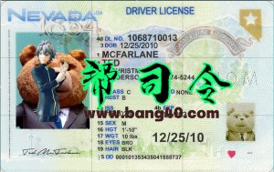 美国内华达州驾驶执照 PSD 模板 1200 DPI（2025 版）USA Nevada Driving License PSD Template 1200 DPI (2025 version)-帮司令