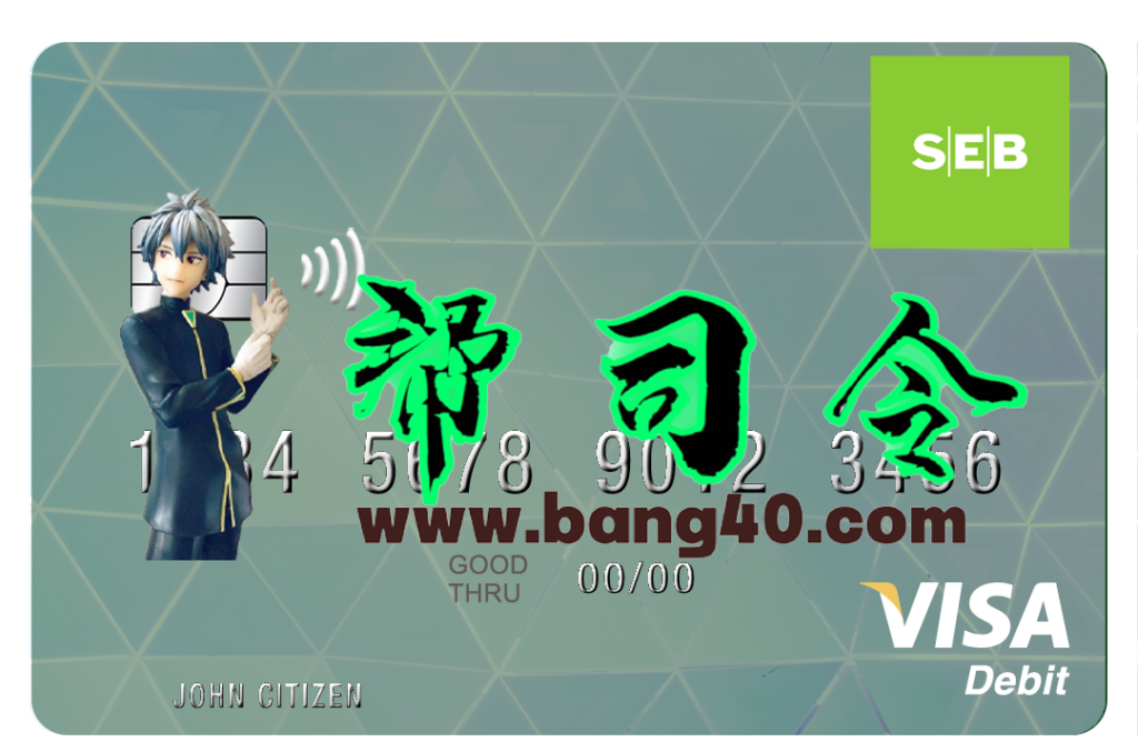 拉脱维亚 SEB 银行 Visa 卡 PSD 模板