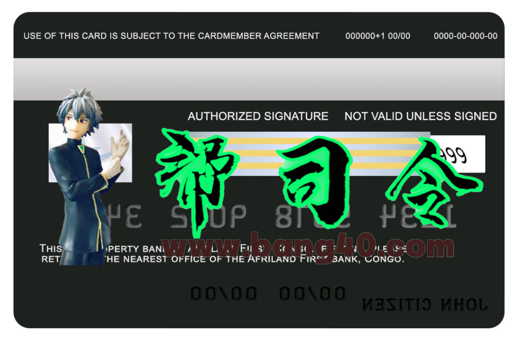 图片[2]-刚果非洲第一银行 Visa 信用卡 PSD 模板