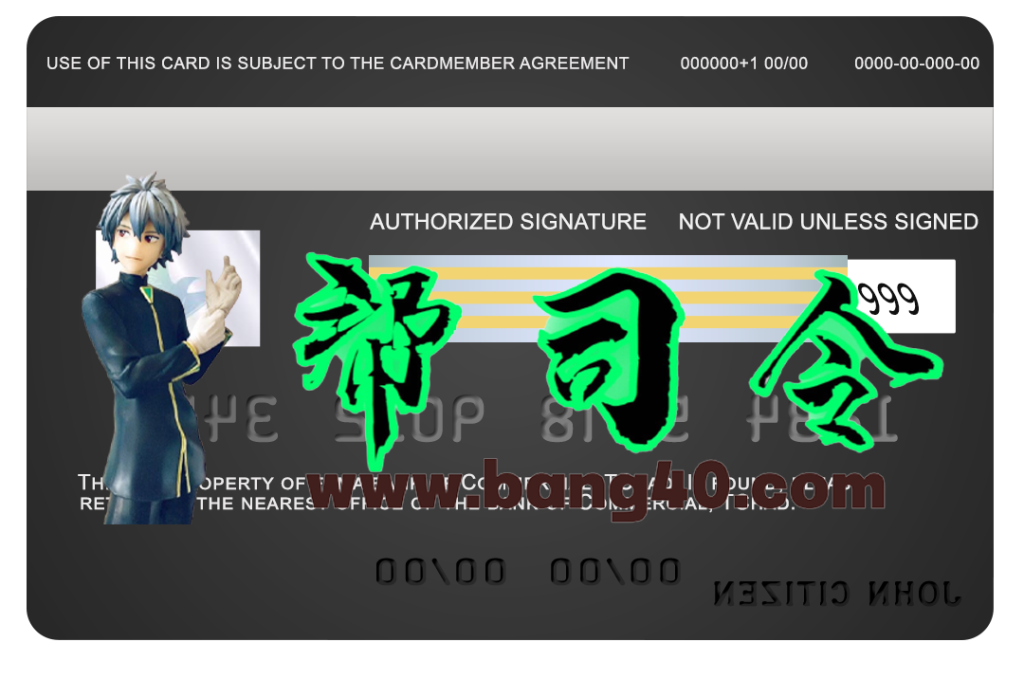 图片[2]-乍得商业银行 Visa 卡 PSD 模板