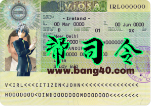爱尔兰签证卡 psd 模板 V2Ireland visa card psd template V2-帮司令