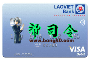 老挝越南签证卡 PSD 模板Lao Viet Visa Card PSD Template-帮司令