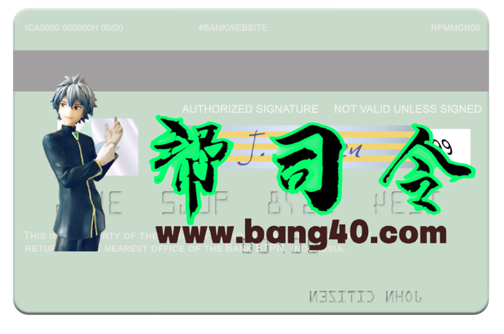 图片[2]-印度尼西亚银行 BTPN Visa 卡 PSD 模板