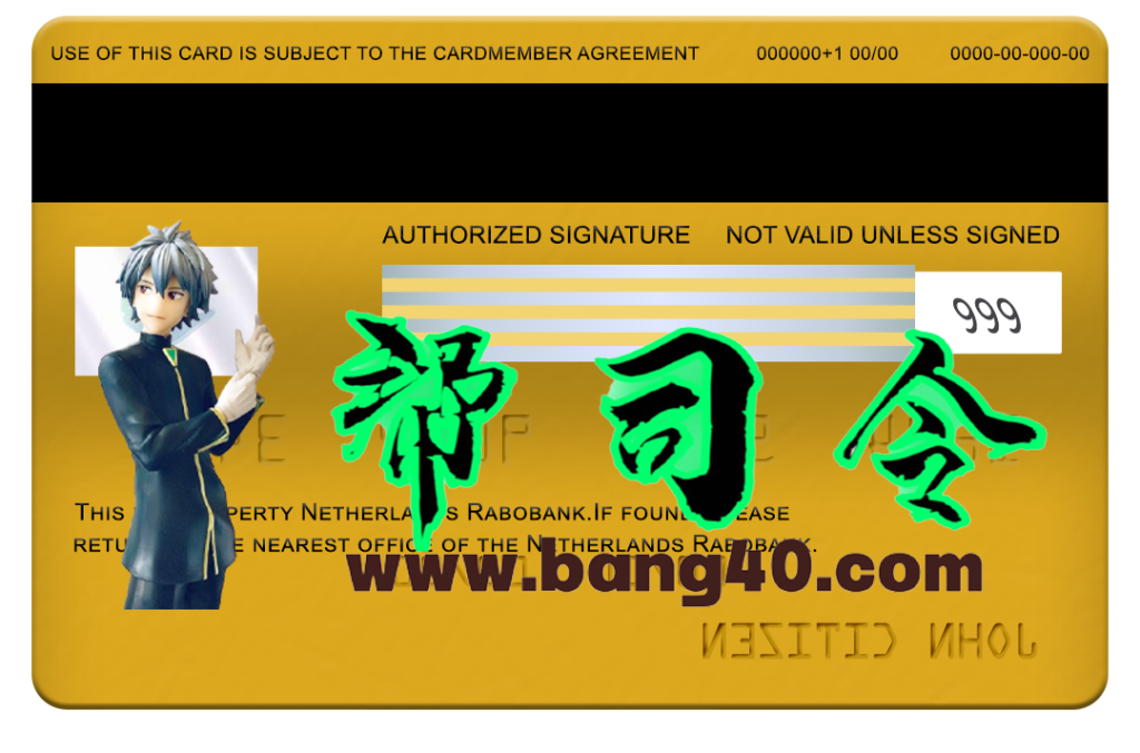 图片[2]-荷兰合作银行 Visa 金卡 PSD 模板