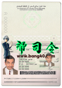 突尼斯护照 PSD 模板Tunisia passport PSD template-帮司令