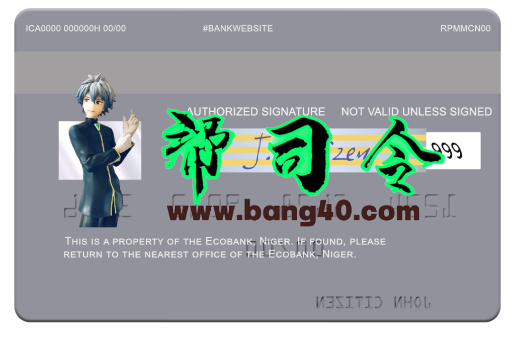 图片[2]-尼日尔 Ecobank Visa 借记卡 PSD 模板