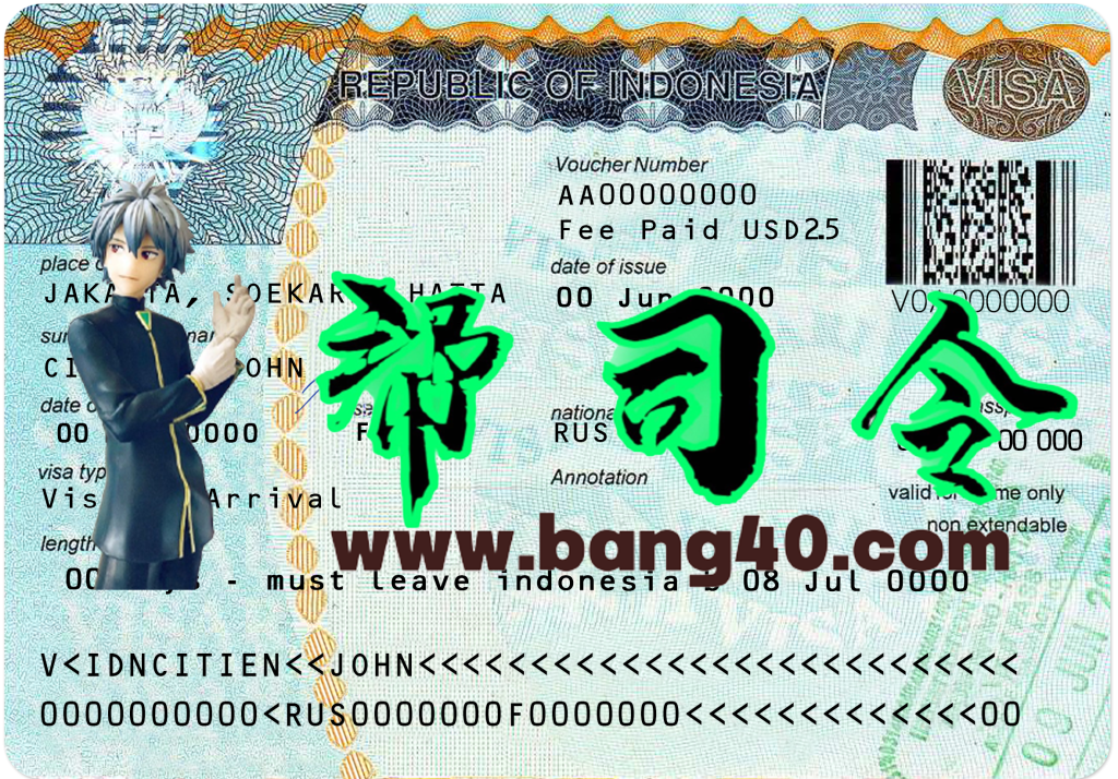 印度尼西亚旅行签证PSD模板Indonesia Travel Visa PSD Template-帮司令