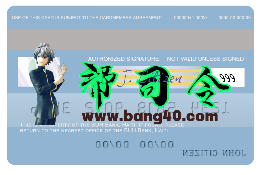 图片[2]-海地 BUH 银行 Visa 卡 PSD 模板