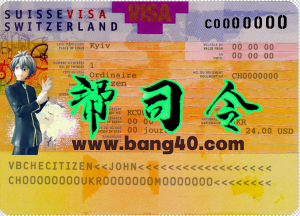 瑞士旅游签证 PSD 模板Switzerland Travel visa PSD Template-帮司令