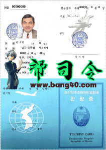韩国旅游签证 PSD 模板Korea tourist visa PSD Template-帮司令