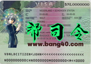 荷兰旅游签证 PSD 模板Netherlands travel visa PSD Template-帮司令