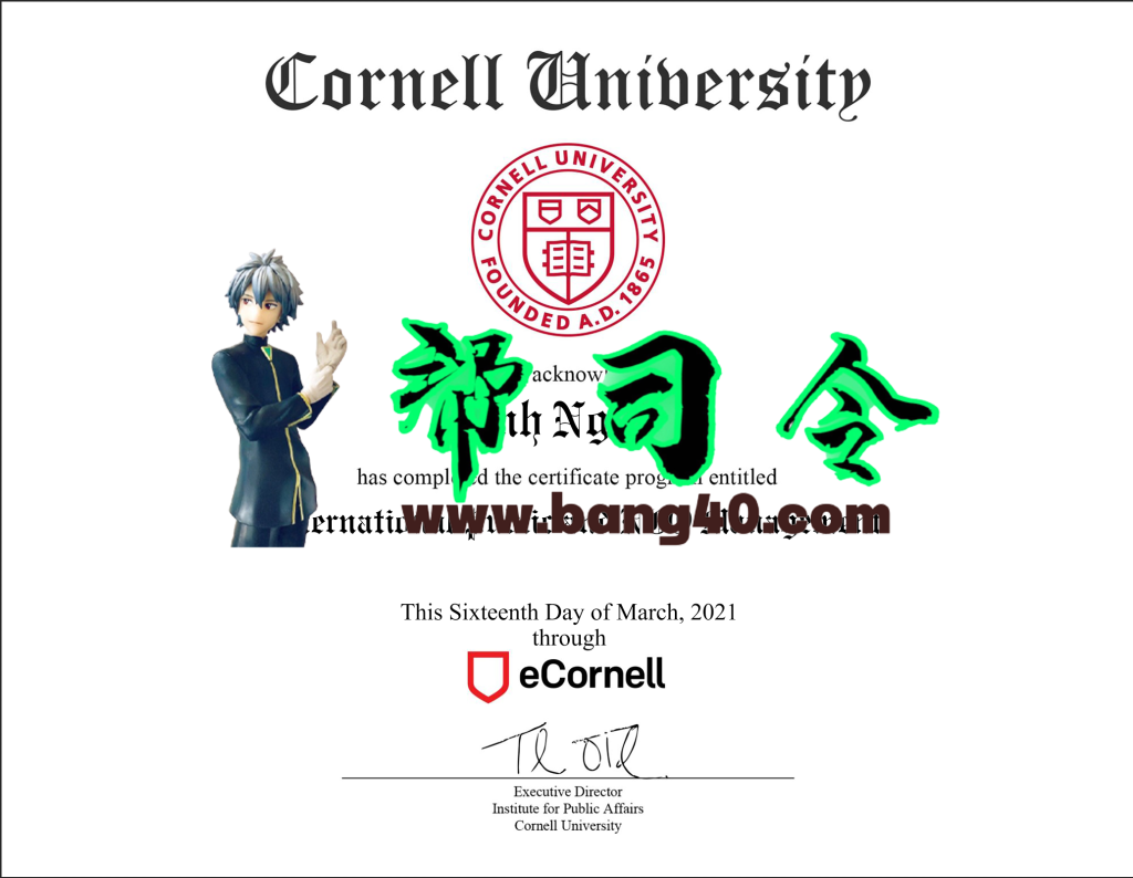 康奈尔大学证书 PSD 模板
