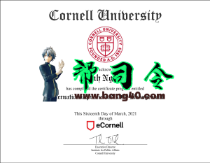 康奈尔大学证书 PSD 模板Cornell University Certificate PSD Template-帮司令