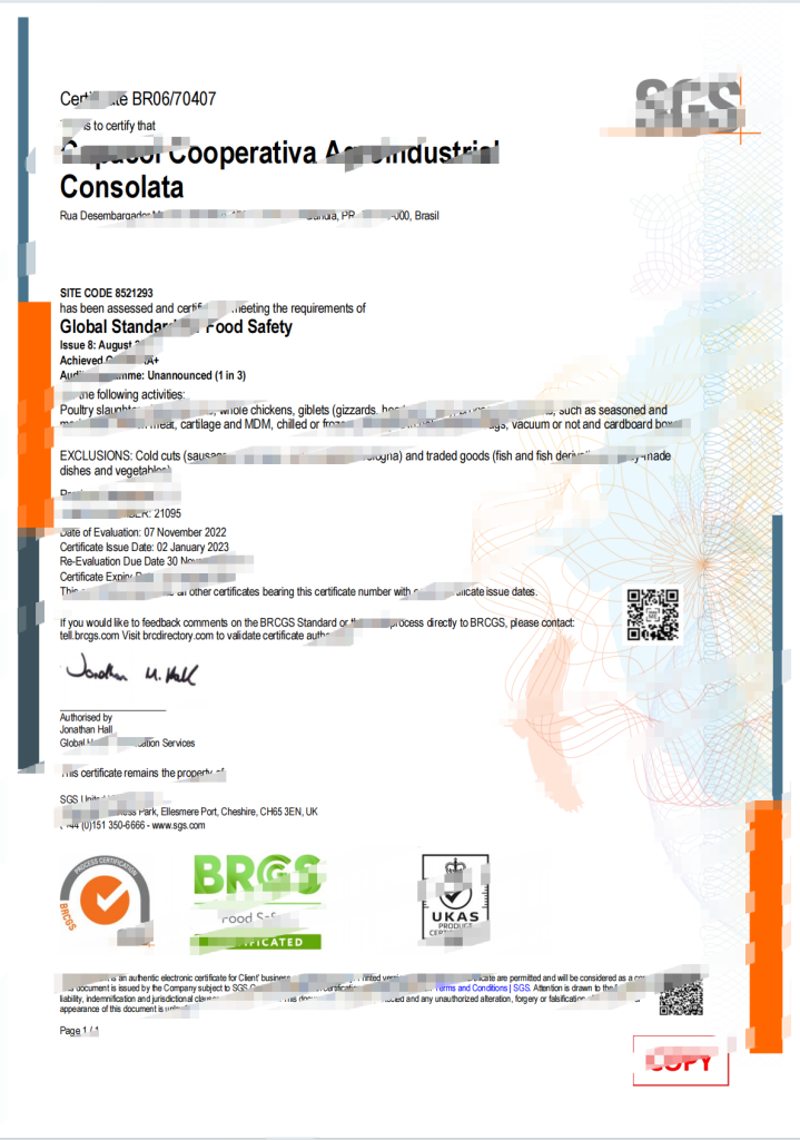 巴西注册证书模板（Word 和 PDF 格式）