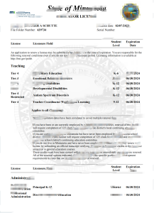 美国明尼苏达州专业教育者执照模板（Word 和 PDF 格式）USA Minnesota Professional Educator License Template in word and pdf format-帮司令