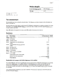 加拿大评估通知模板（Word 和 PDF 格式）Canada Notice of Assessment Template in word and pdf format-帮司令