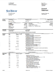美国 SunTrust 银行对账单 Word 和 PDF 模板（2 页）USA SunTrust Bank Statement Word And PDF Template (2 pages)-帮司令