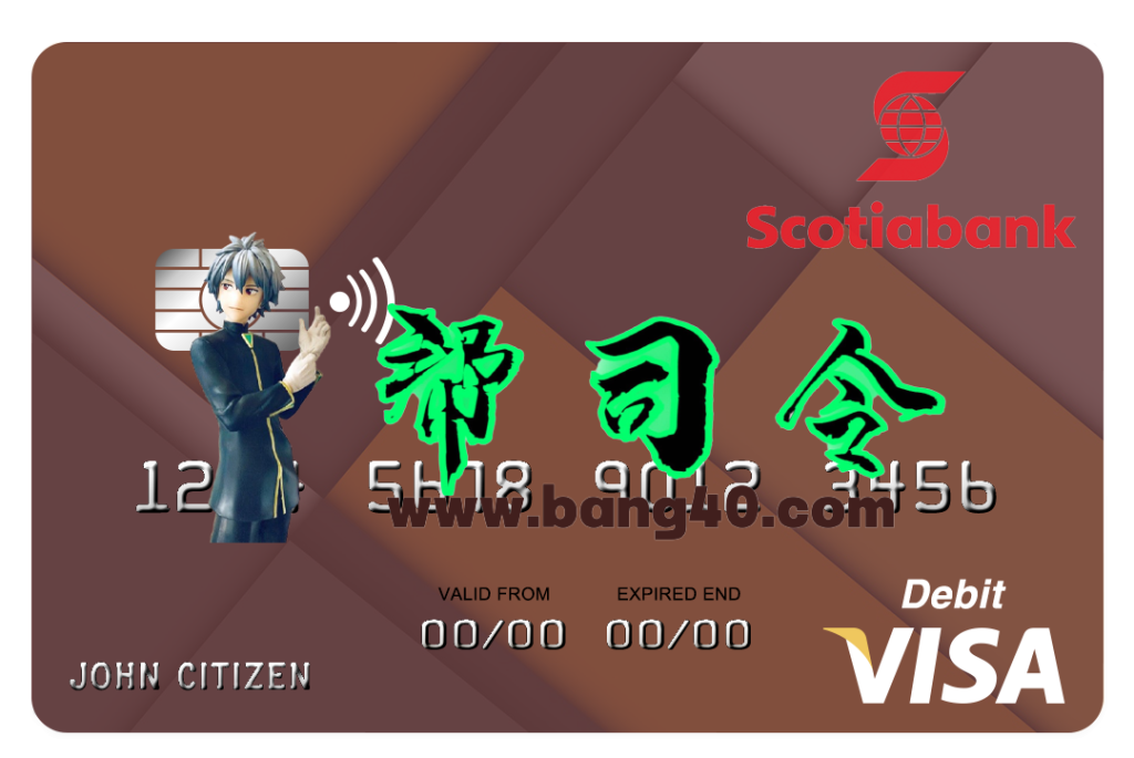 圣卢西亚丰业银行 Visa 借记卡/信用卡 PSD 模板