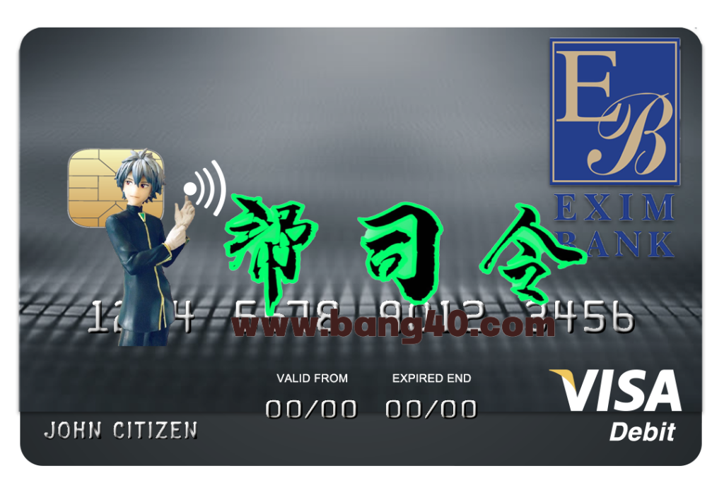 科摩罗进出口银行 Visa 借记卡 PSD 模板