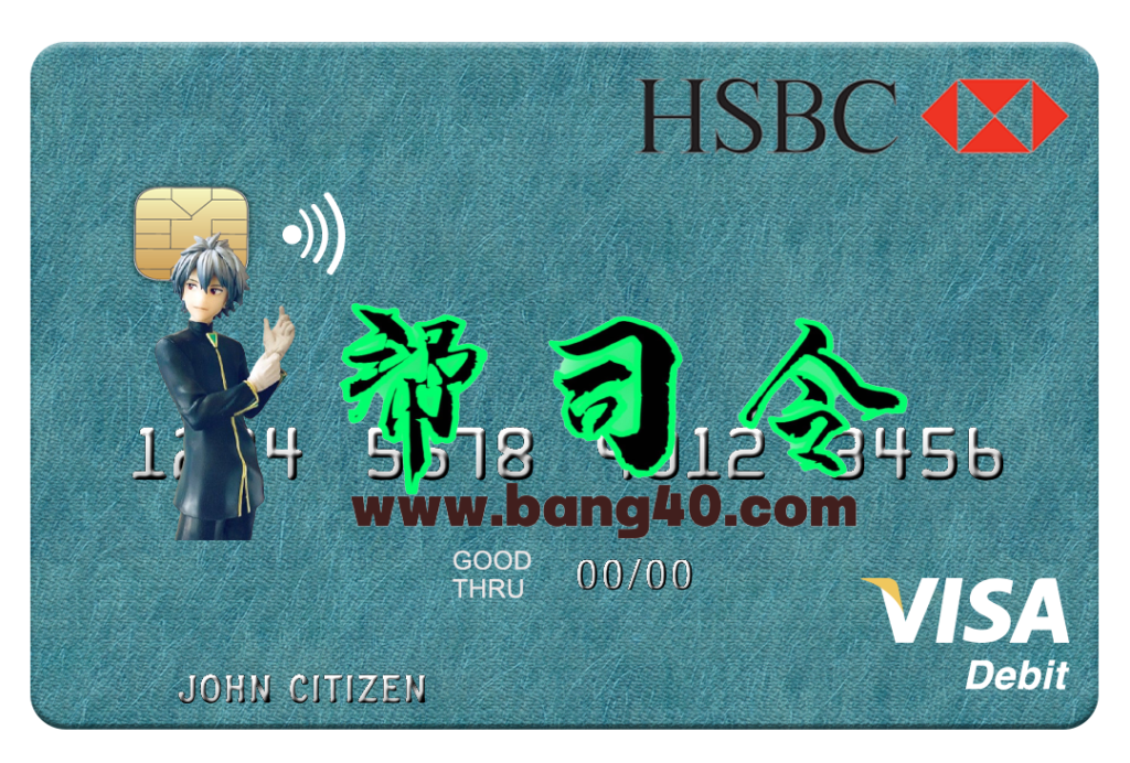 埃及汇丰银行 Visa 借记卡 PSD 模板