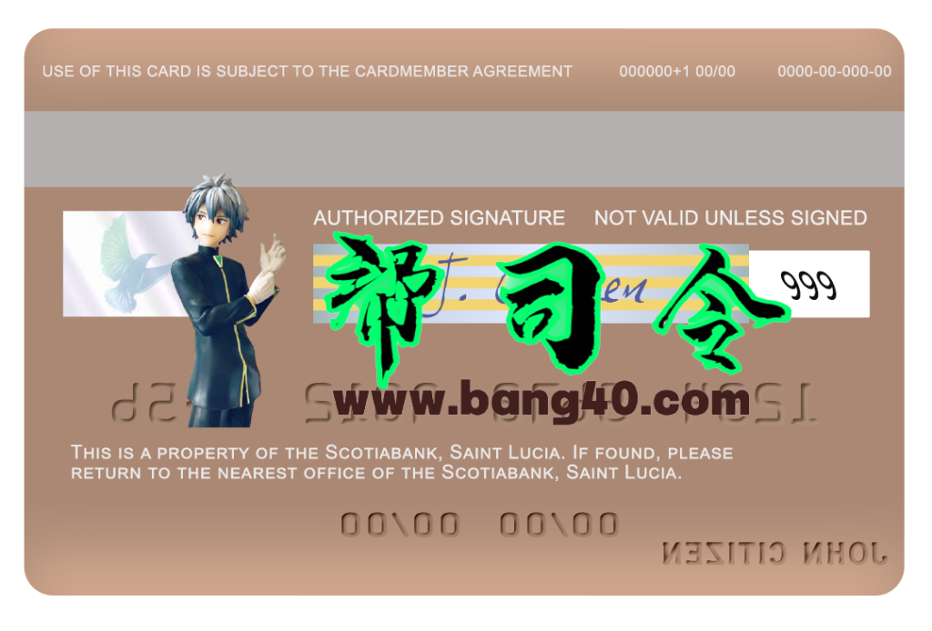 图片[2]-圣卢西亚丰业银行 Visa 借记卡/信用卡 PSD 模板