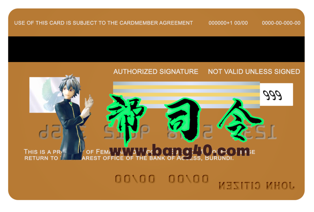 图片[2]-布隆迪 Access Bank Visa 信用卡 PSD 模板