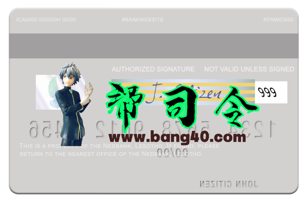 图片[2]-莱索托 Nedbank Visa 卡 PSD 模板