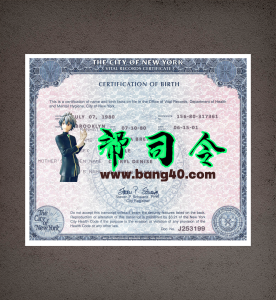 纽约州出生证明模板（PSD格式）New York Birth Certificate Template in PSD Format-帮司令