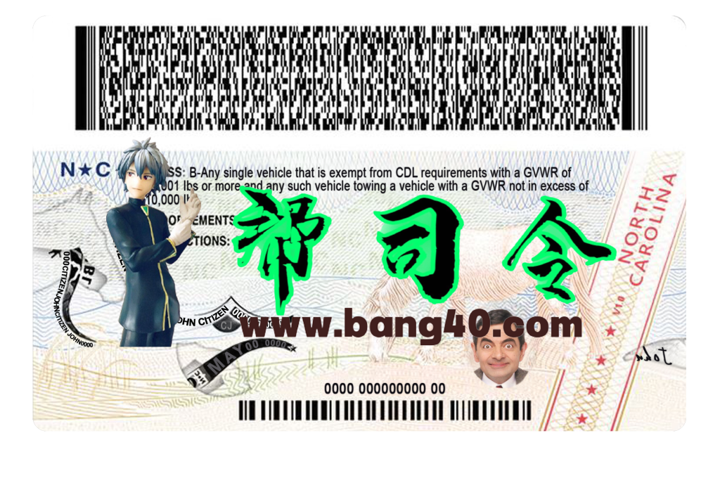 图片[2]-北卡罗来纳州 NC 驾驶执照 PSD 模板 2025 新版 V4